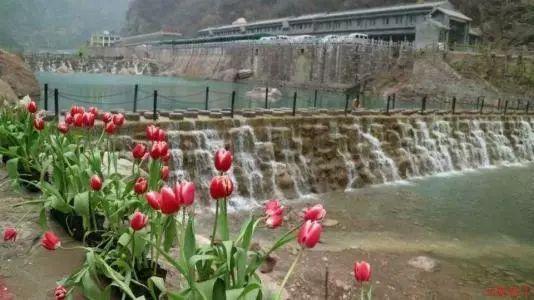 注意躲避