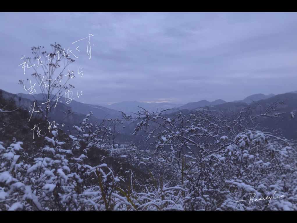 苹果音乐上线古典乐App，钢琴家郎朗任艺术家大使