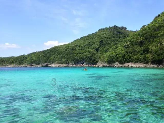 动物帮帮忙保卫家园