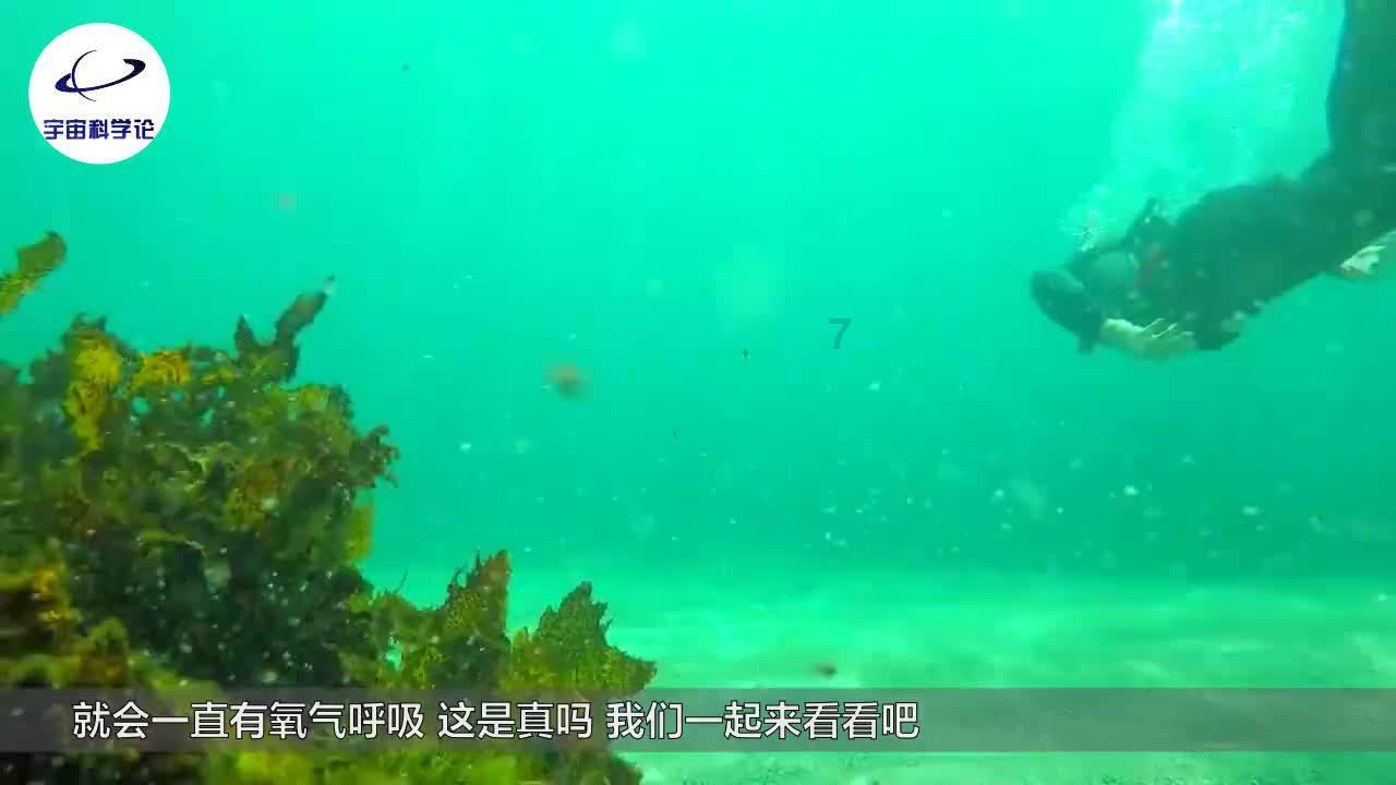 浔阳区积极帮助女性提升职业技能
