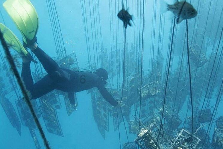 废弃海盗船逃脱