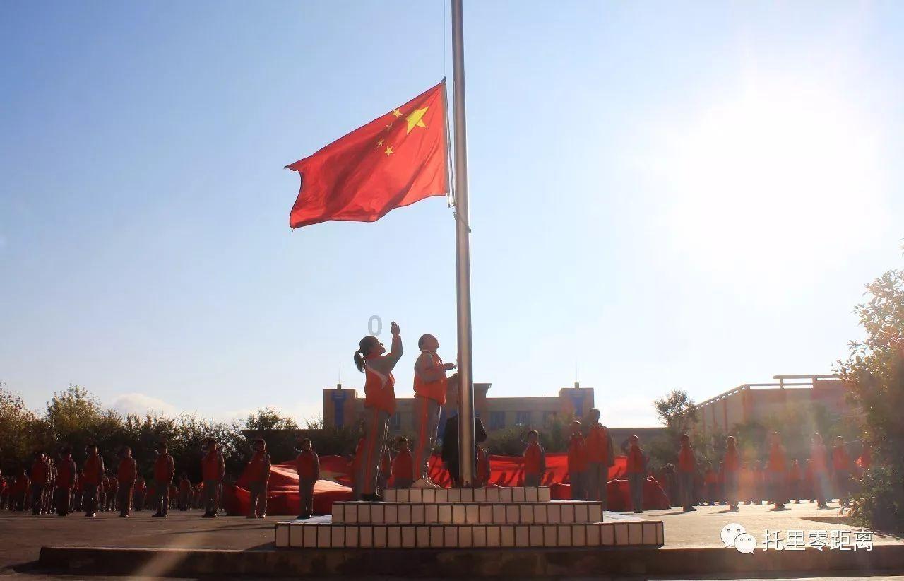 虫虫助手下载