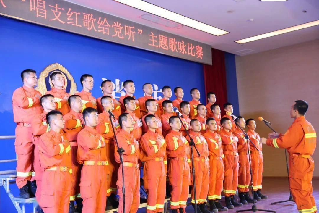 茶氨酸是什么？ 茶氨酸的功效与作用有哪些？