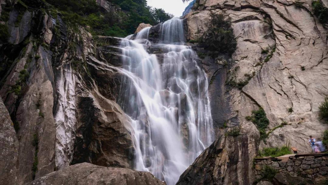 逃离水虎鱼湖
