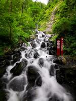 勇闯精灵大陆4